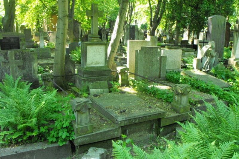 Zdjęcie grobu Wiktor Mierzejewski (1)