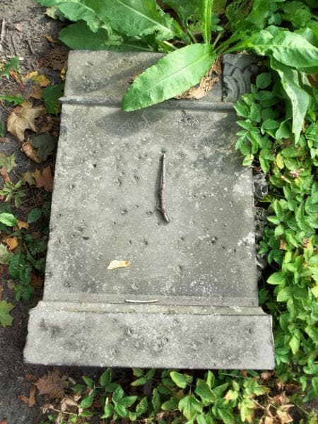Zdjęcie grobu Pole Grobowe (1)