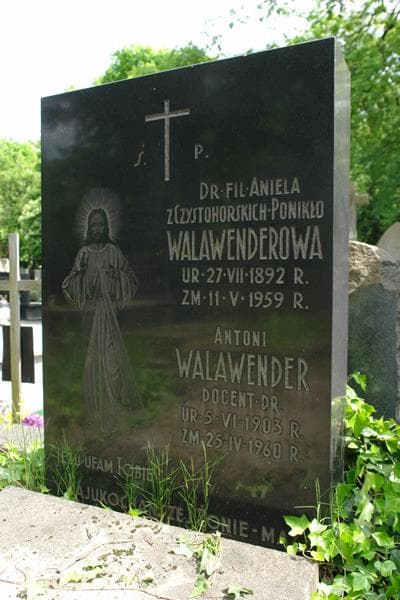 Zdjęcie grobu Antoni Walawender (2)