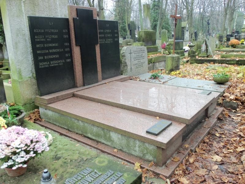 Zdjęcie grobu Antek Bieńkowski (1)