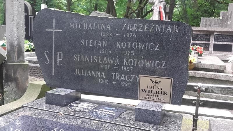 Zdjęcie grobu Michalina Zbrzeźniak (2)