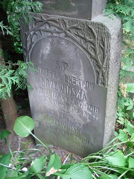 Zdjęcie grobu Feliks Drzewiński (2)
