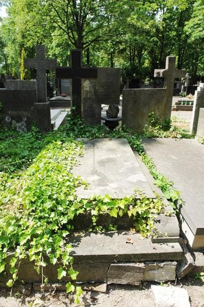 Zdjęcie grobu Henryka Schoppowa (1)
