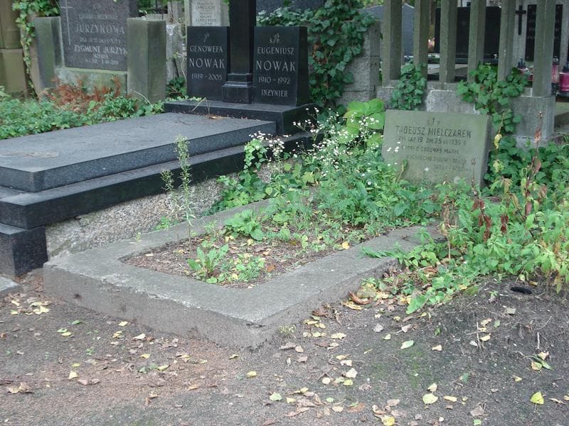 Zdjęcie grobu Tadeusz Mielczarek (1)