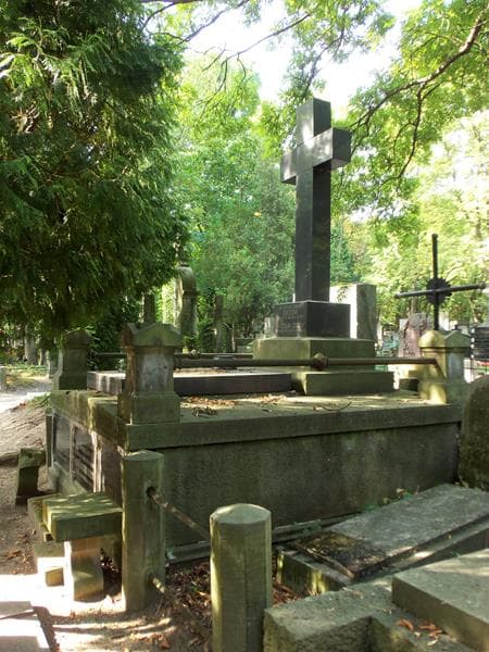 Zdjęcie grobu Juljan Gościcki (1)