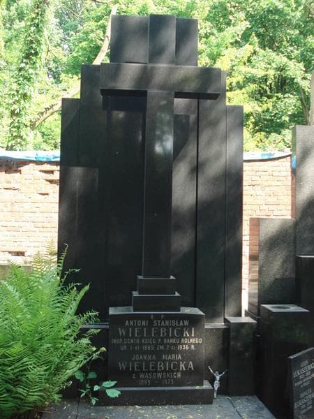 Zdjęcie grobu Tadeusz Wąsowski (2)