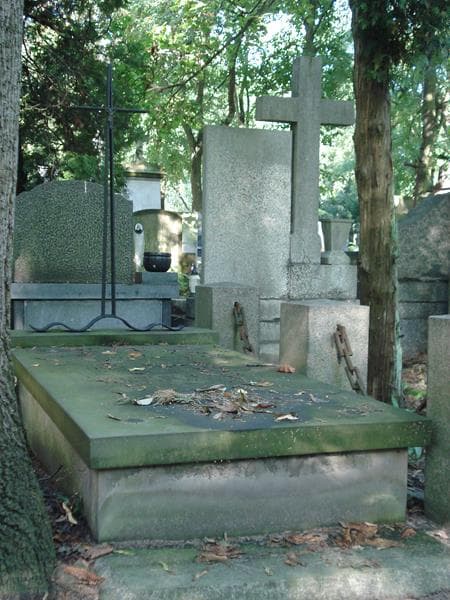 Zdjęcie grobu Wacław Dmowski (1)