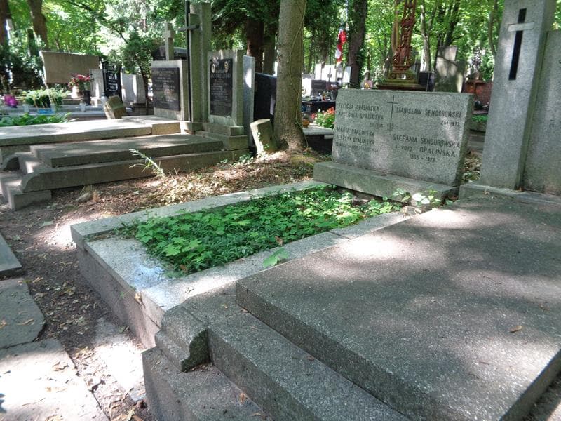 Zdjęcie grobu: Apolonia Opalińska
