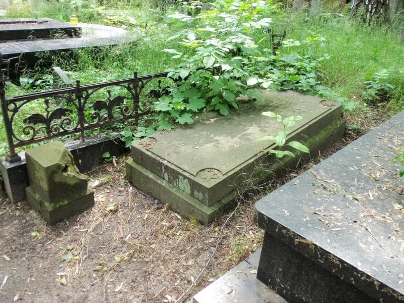 Zdjęcie grobu Ignacy Hryniewicz (1)