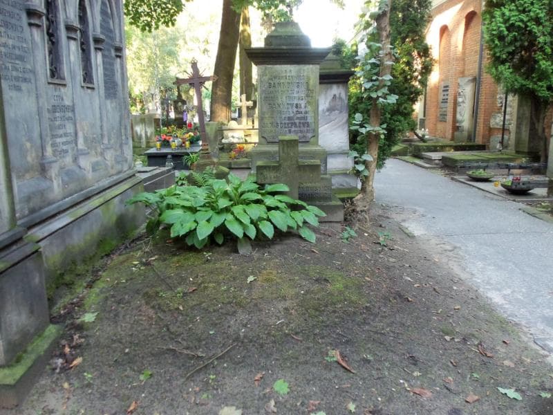 Zdjęcie grobu: Józefa Bańkowska