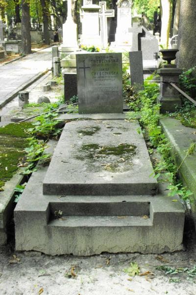 Zdjęcie grobu: Marceli Chybczyński