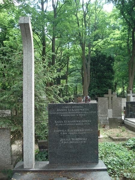 Zdjęcie grobu Julian Borowski (1)