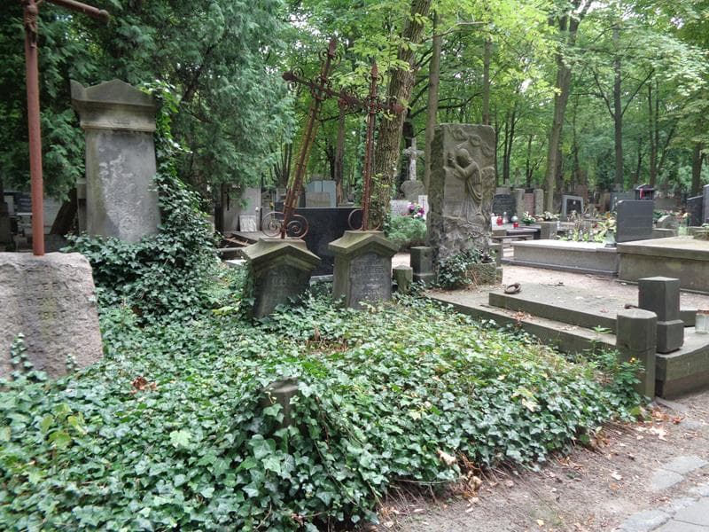 Zdjęcie grobu: Władysław Danielewicz