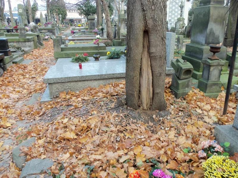 Zdjęcie grobu Pole Grobowe (1)