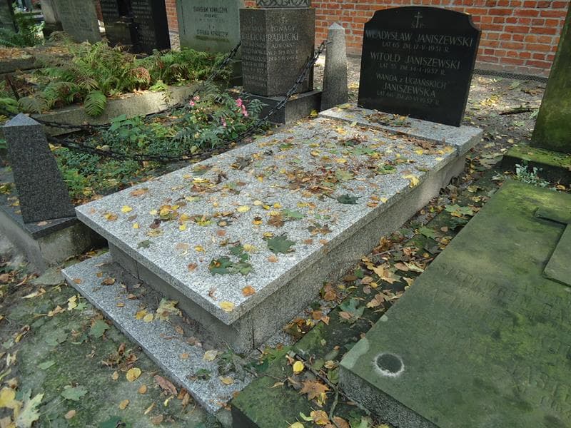 Zdjęcie grobu Witold Janiszewski (1)