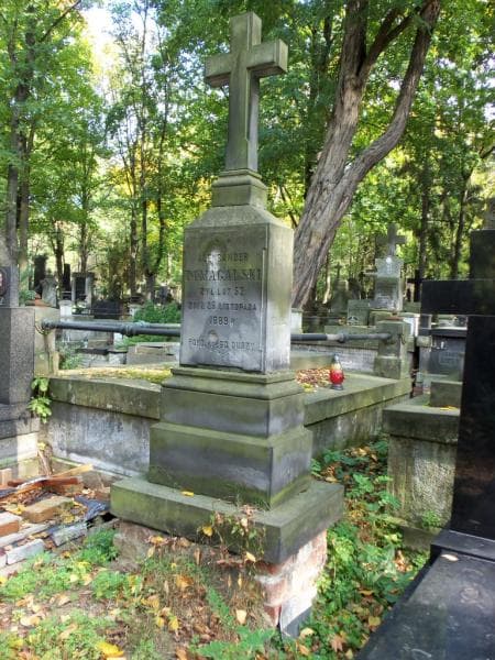 Zdjęcie grobu Aleksander Domagalski (2)
