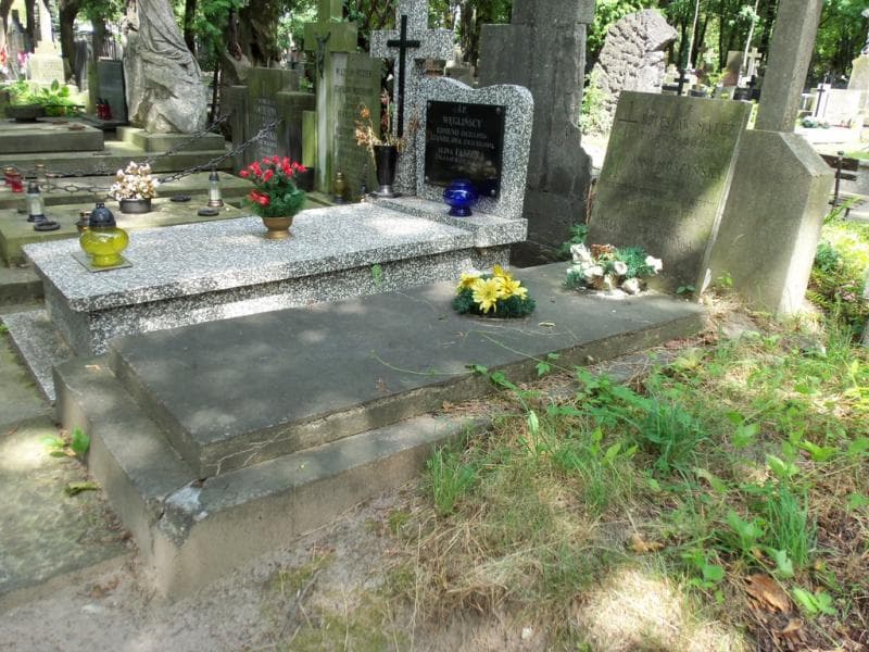 Zdjęcie grobu: Helena Frankowska