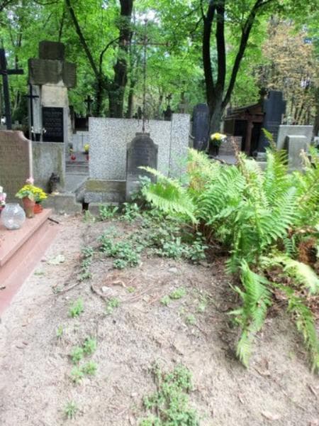 Zdjęcie grobu: Wanda Kucharska