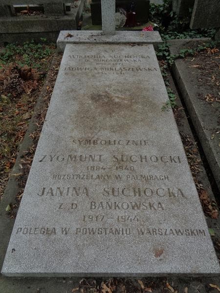 Zdjęcie grobu Jadwiga Miklaszewska (2)