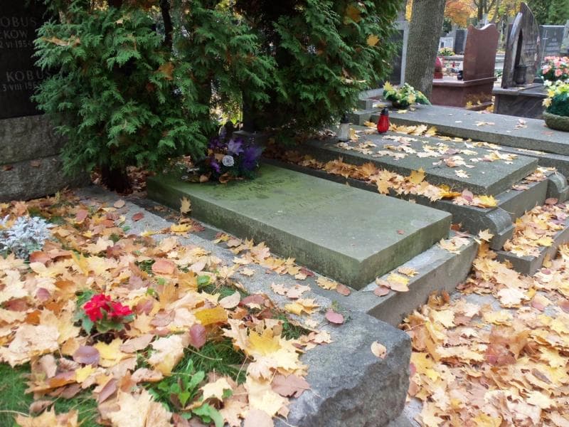 Zdjęcie grobu Marta Bystrzonowska (1)