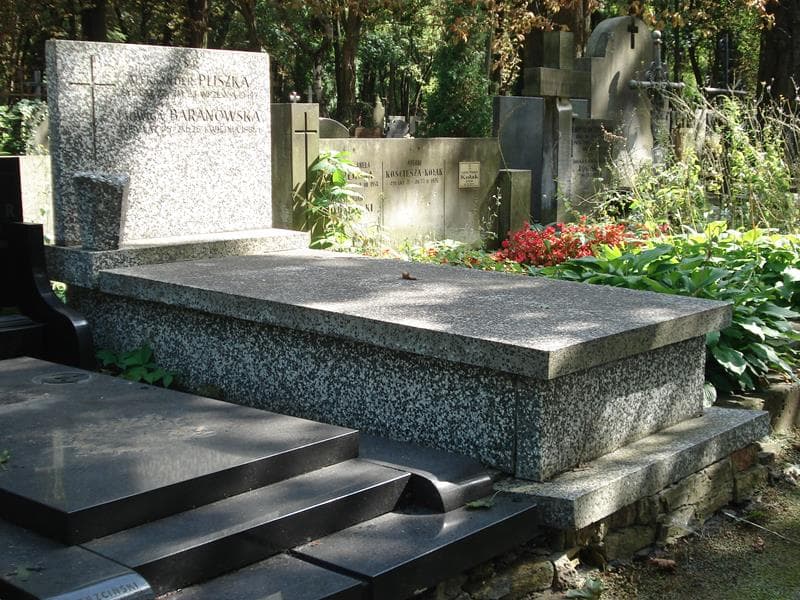 Zdjęcie grobu Aleksander Pliszka (1)