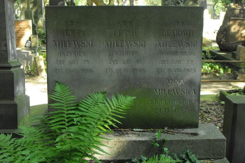 Zdjęcie grobu Anna Milewska (2)