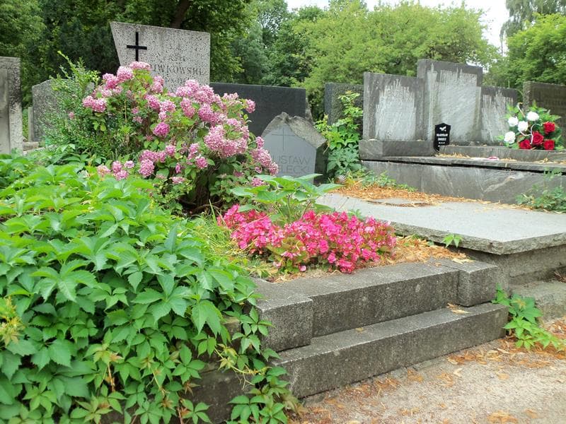 Zdjęcie grobu Jasio Piwkowski (1)