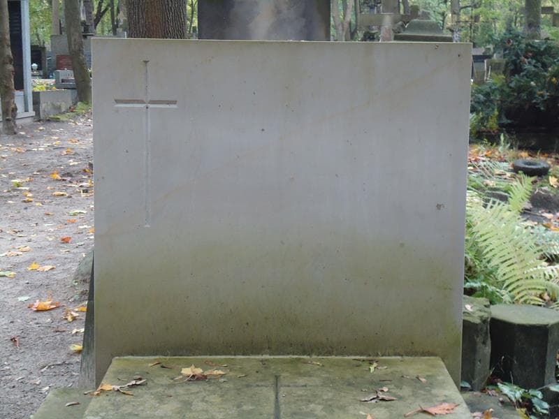 Zdjęcie grobu Aleksander Gołębiowski (2)