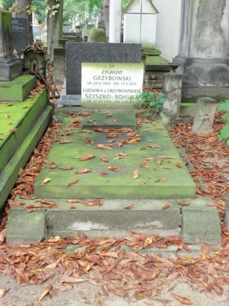Zdjęcie grobu: Zygmunt Grzybowski