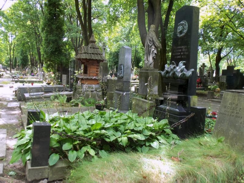 Zdjęcie grobu: Henryk Bolechowski