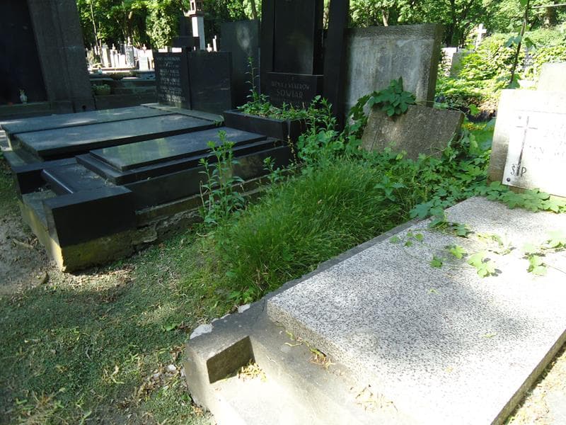 Zdjęcie grobu Balbina Wójcik (1)