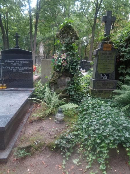 Zdjęcie grobu Marya Janczewska (1)