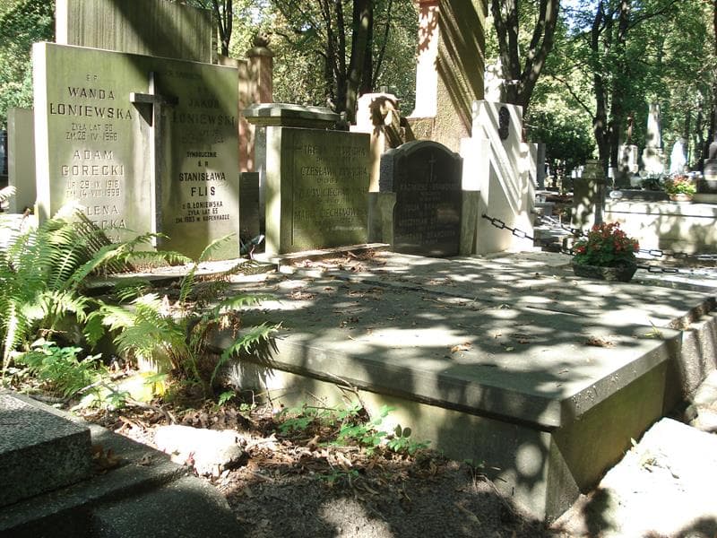Zdjęcie grobu Stanisława Flis (1)