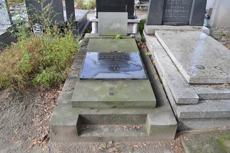 Zdjęcie grobu Zygmunt Lednicki (1)