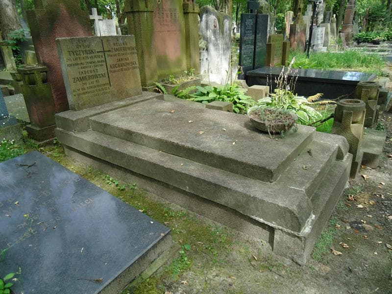 Zdjęcie grobu Janina Kochanowska (1)