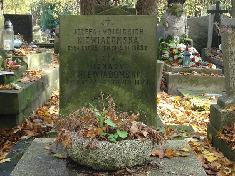 Zdjęcie grobu Maria Niewiadomska (2)
