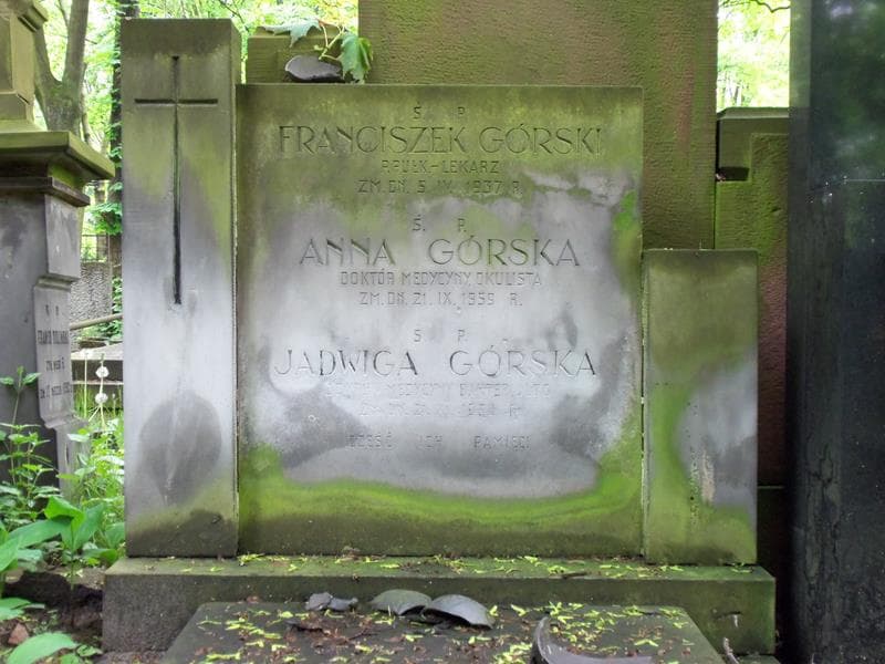 Zdjęcie grobu Anna Górska (2)