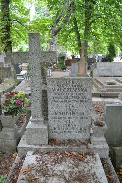 Zdjęcie grobu Stanisława Walczewska (2)