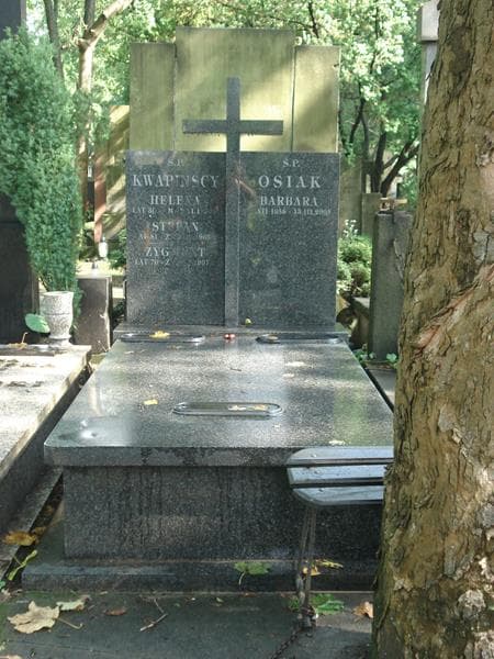 Zdjęcie grobu: Zygmunt Kwapiński