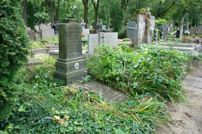 Zdjęcie grobu: Franciszka Sawicka