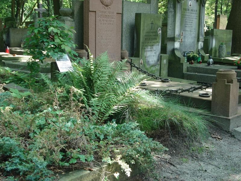 Zdjęcie grobu Zofia Holscher (1)