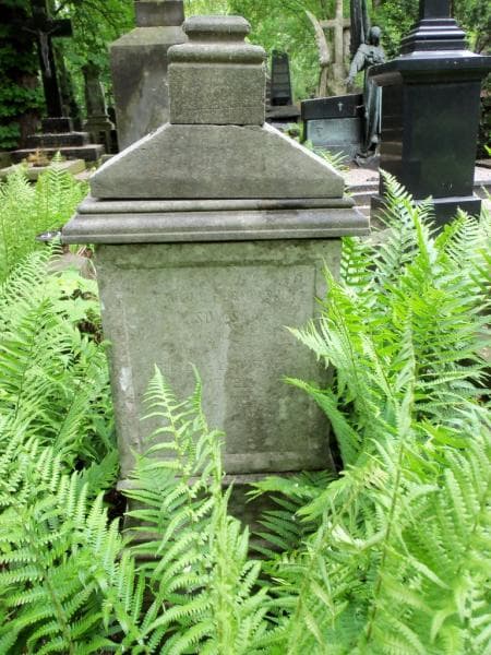 Zdjęcie grobu Paulina Lisowska (1)