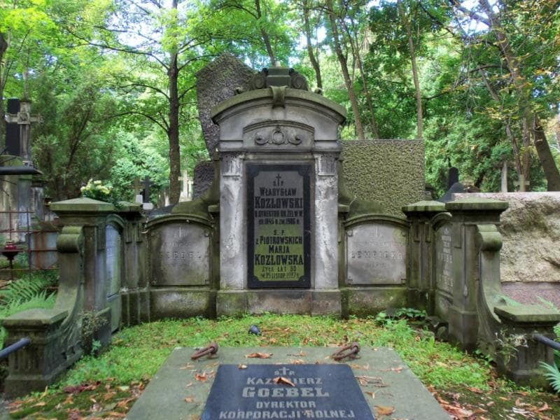 Zdjęcie grobu Władysław Kozłowski (2)