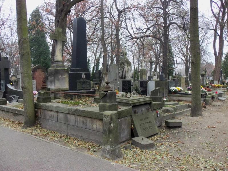 Zdjęcie grobu Zofja Kuksz (1)