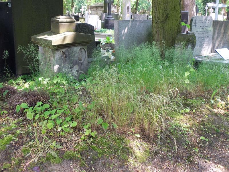 Zdjęcie grobu Berta Baytel (1)