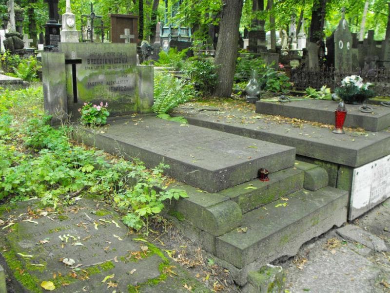 Zdjęcie grobu Janina Brzeziewiczowa (1)