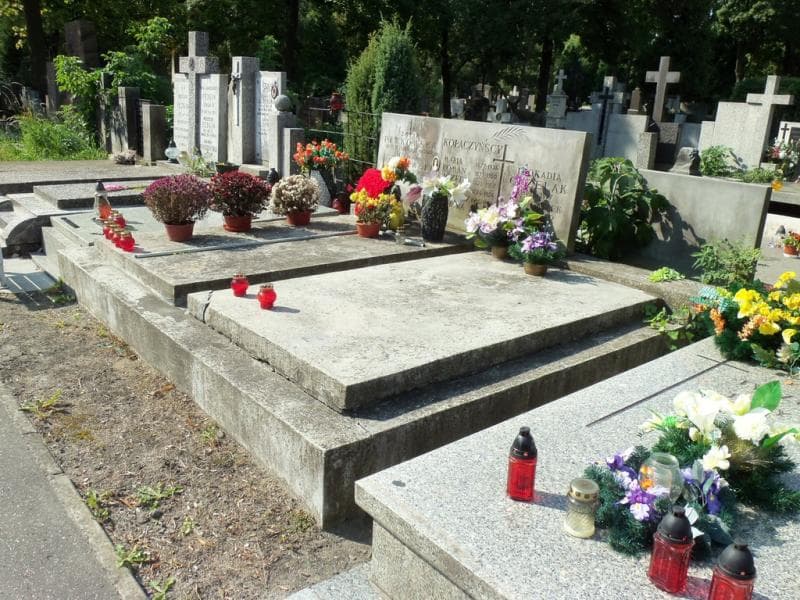 Zdjęcie grobu Michał Perkowski (1)