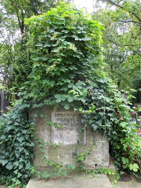 Zdjęcie grobu Janusz Orda (2)