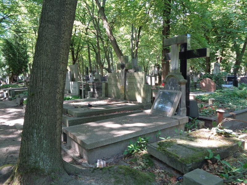 Zdjęcie grobu: Teodor Tomasiewicz