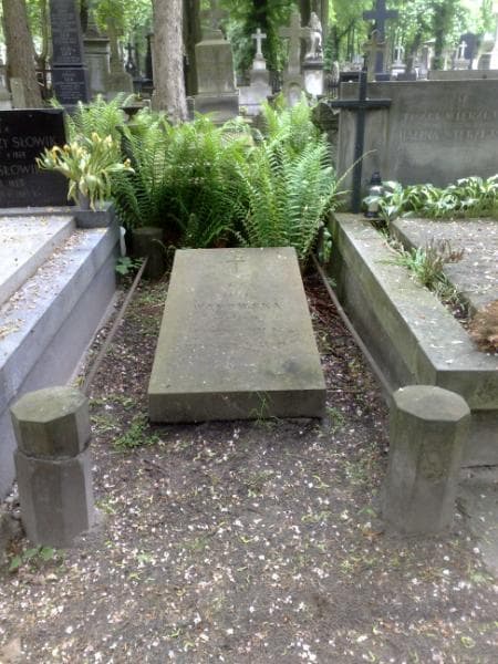 Zdjęcie grobu: Zofja Wasowska